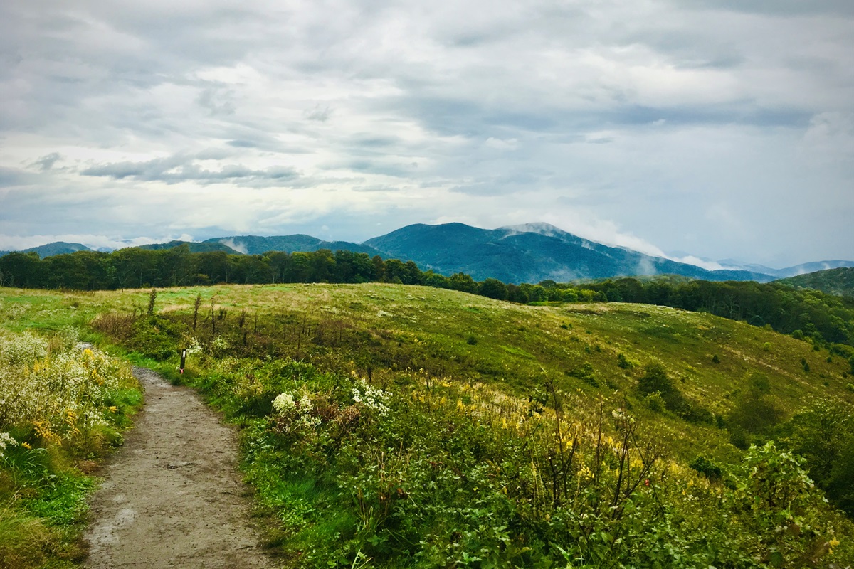 If the opportunity presents itself while you are in Hot Springs, Max Patch is always worthy of a visit. Look it up. Short hike to the top. Spectacular 360 views from this mountain bald