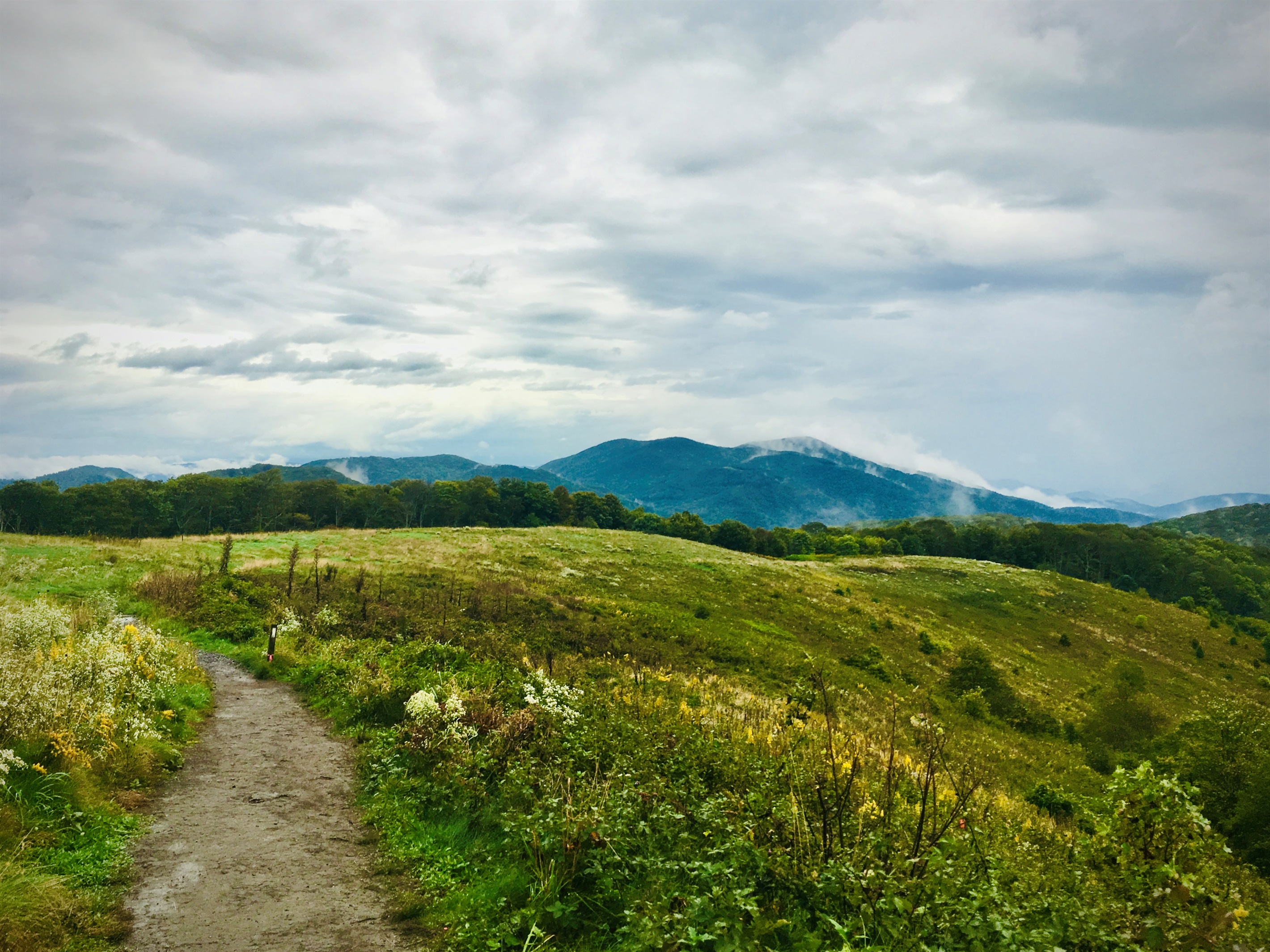 If the opportunity presents itself while you are in Hot Springs, Max Patch is always worthy of a visit. Look it up. Short hike to the top. Spectacular 360 views from this mountain bald