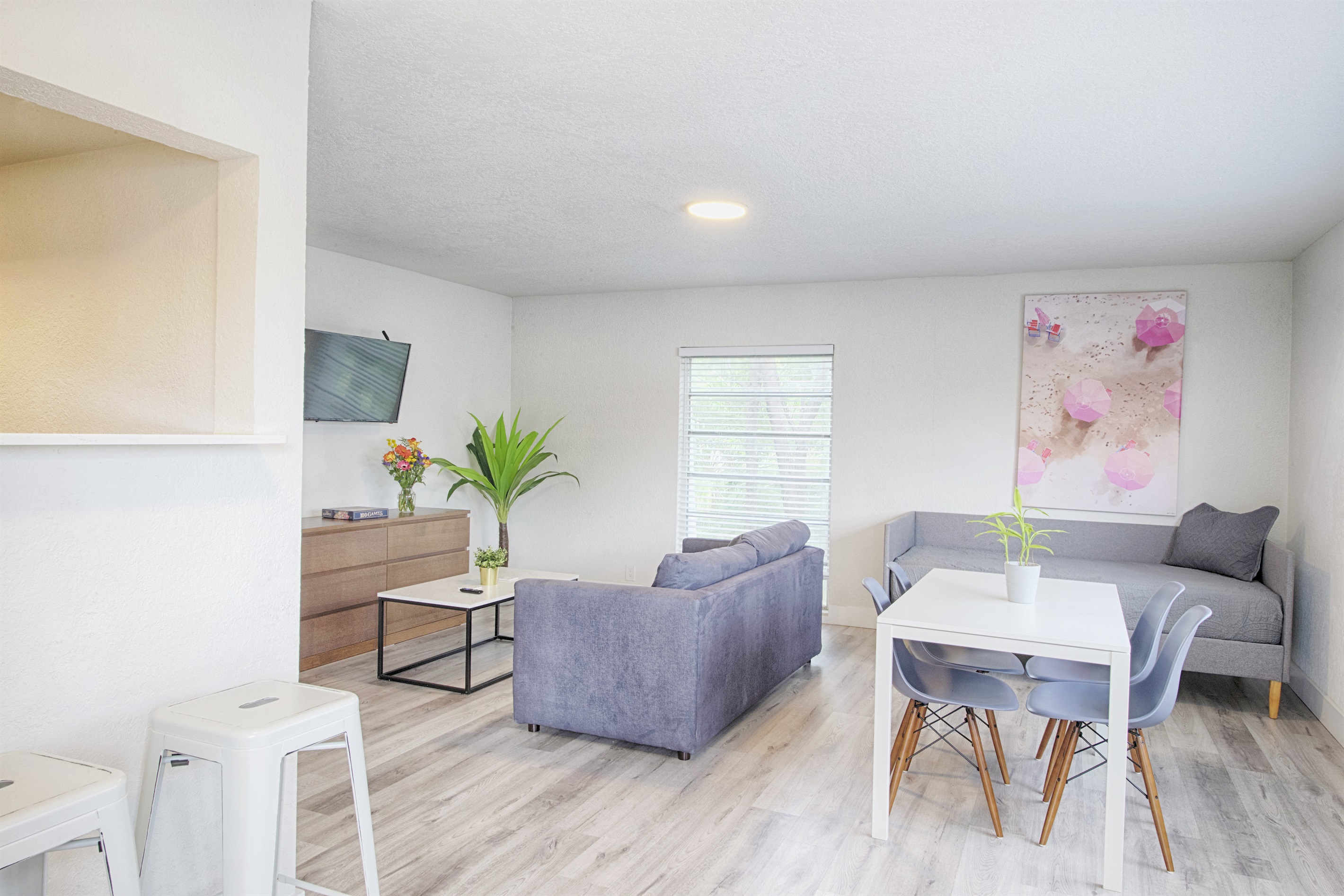 View from apartment entry way with kitchen on the left, living room with sofa bed, smart TV, dining table and day bed.