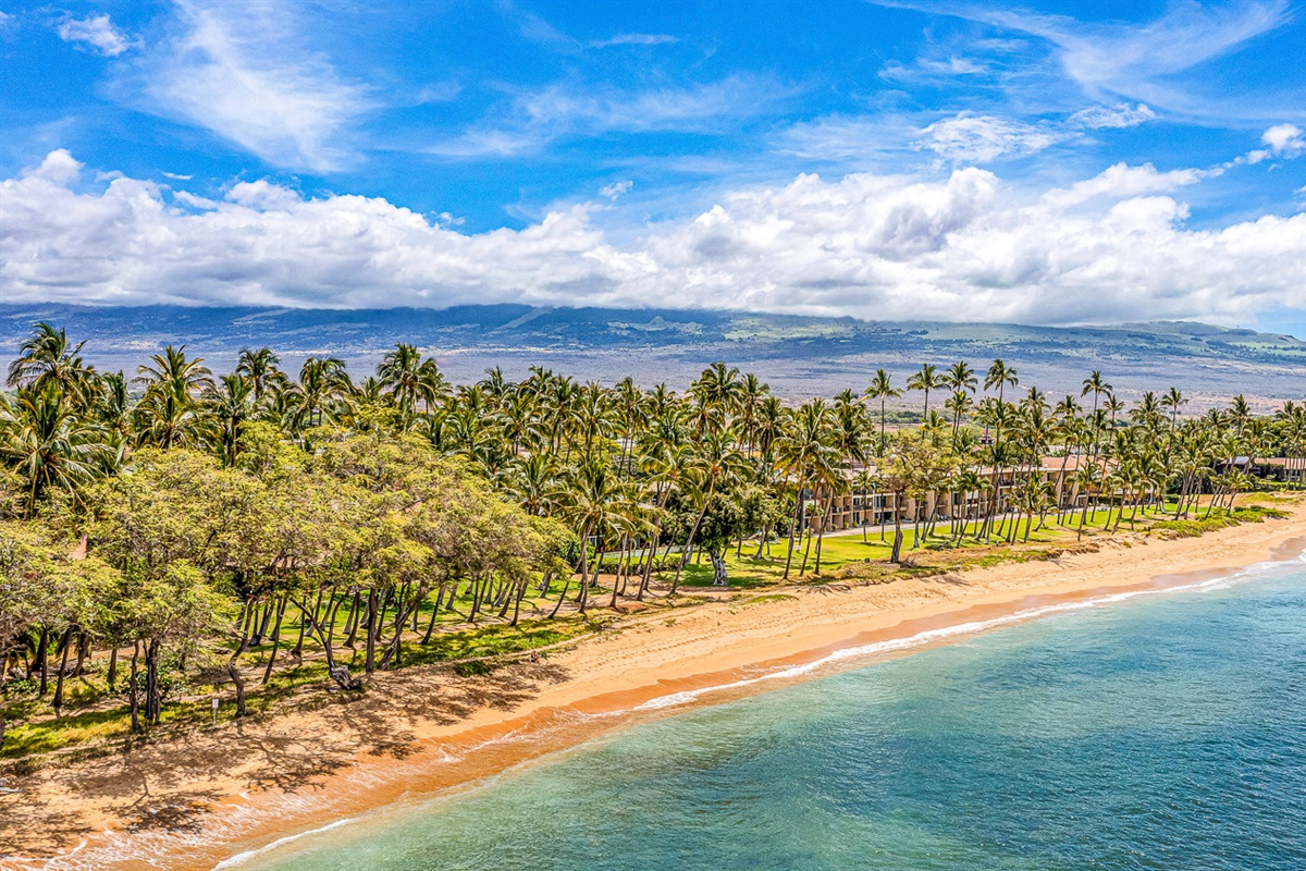 Walk to this lovely beach in just a minute or two