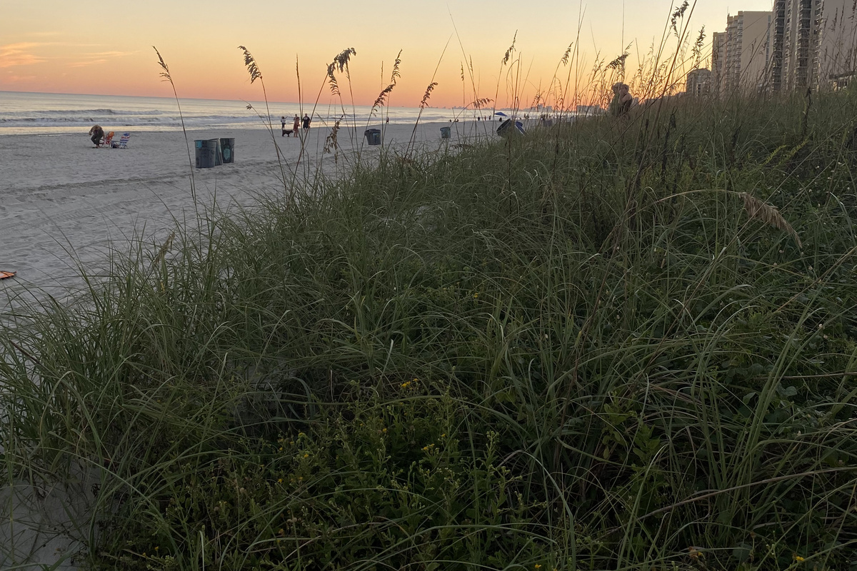 Relax on the Beautiful S.C. Coastline