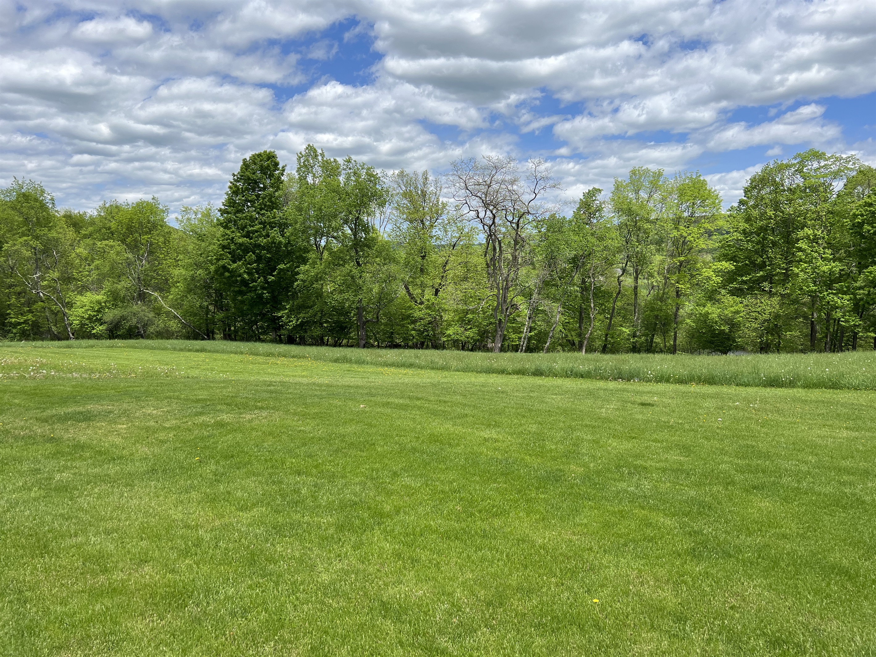 Day House - back yard
