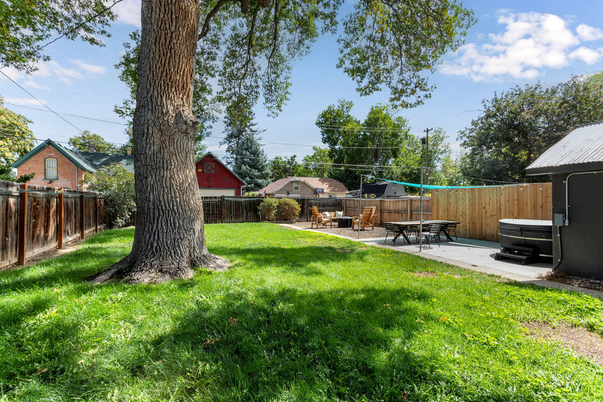 Backyard