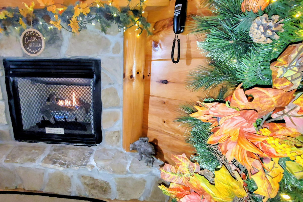 Gas log fireplace for those cool nights 