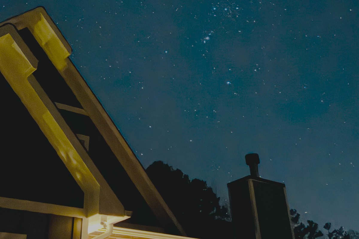 Orion rising over Starry Meadow