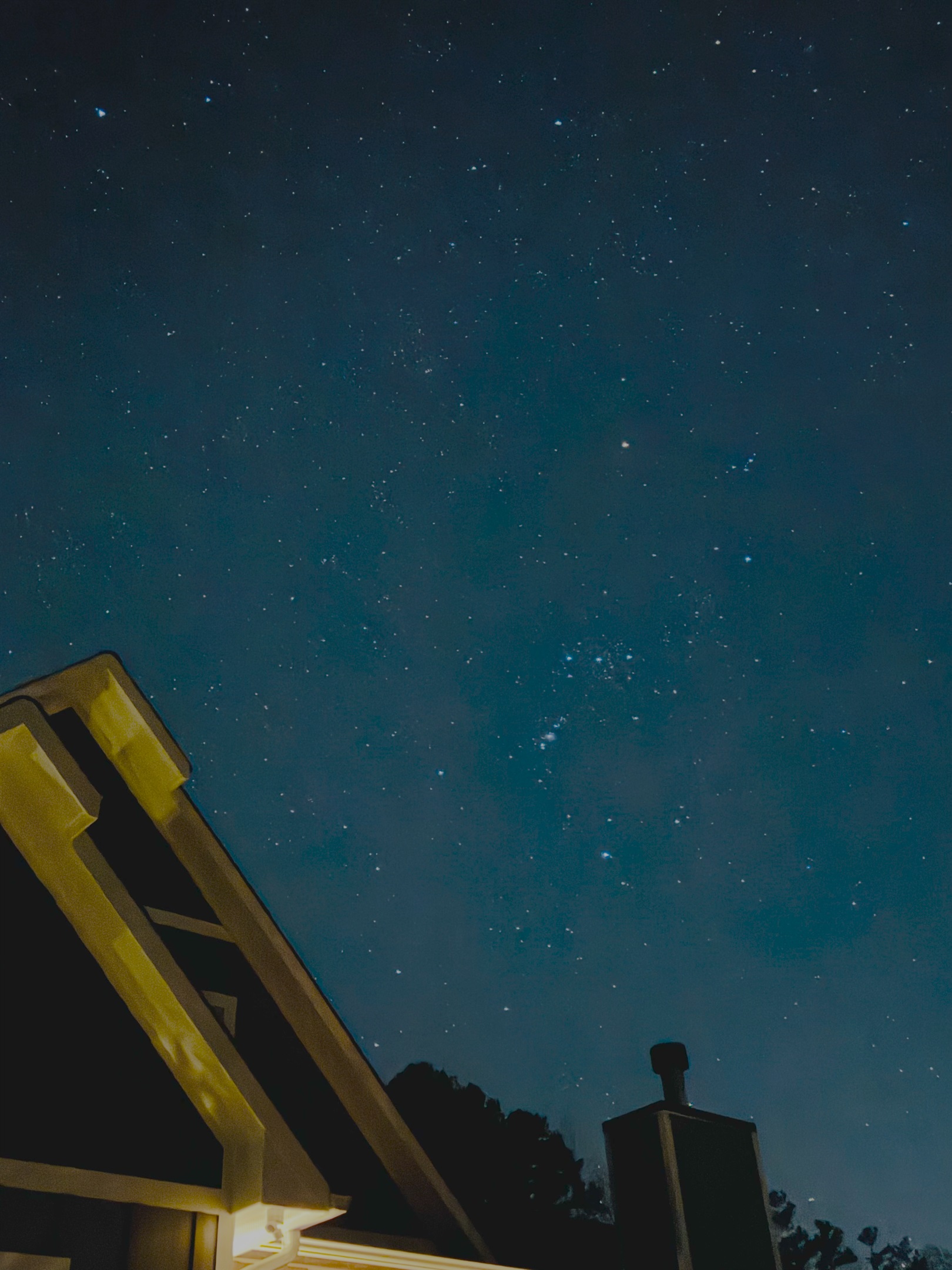 Orion rising over Starry Meadow
