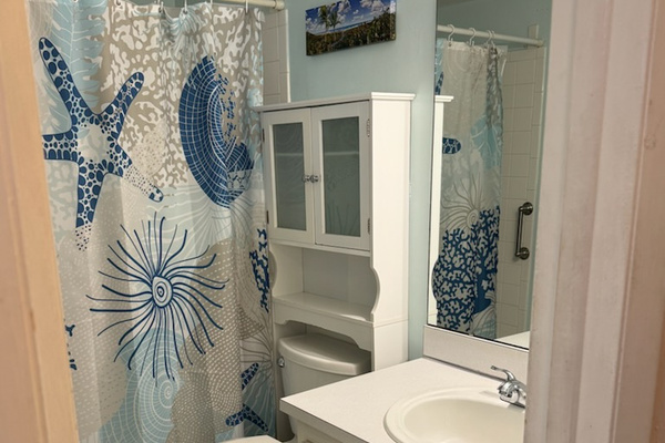 Full bath - tub/shower combo