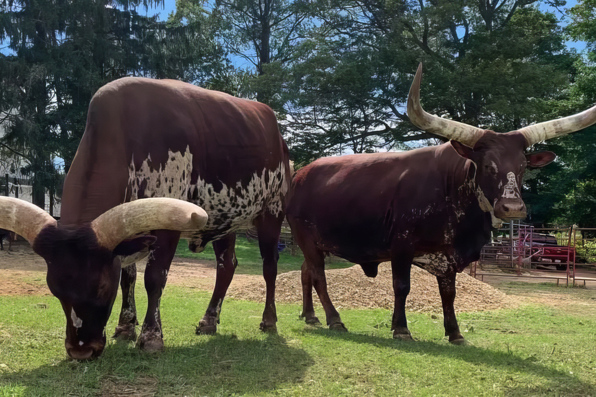 Kids will have a blast at the drive through Safari Country - 10 minutes away!