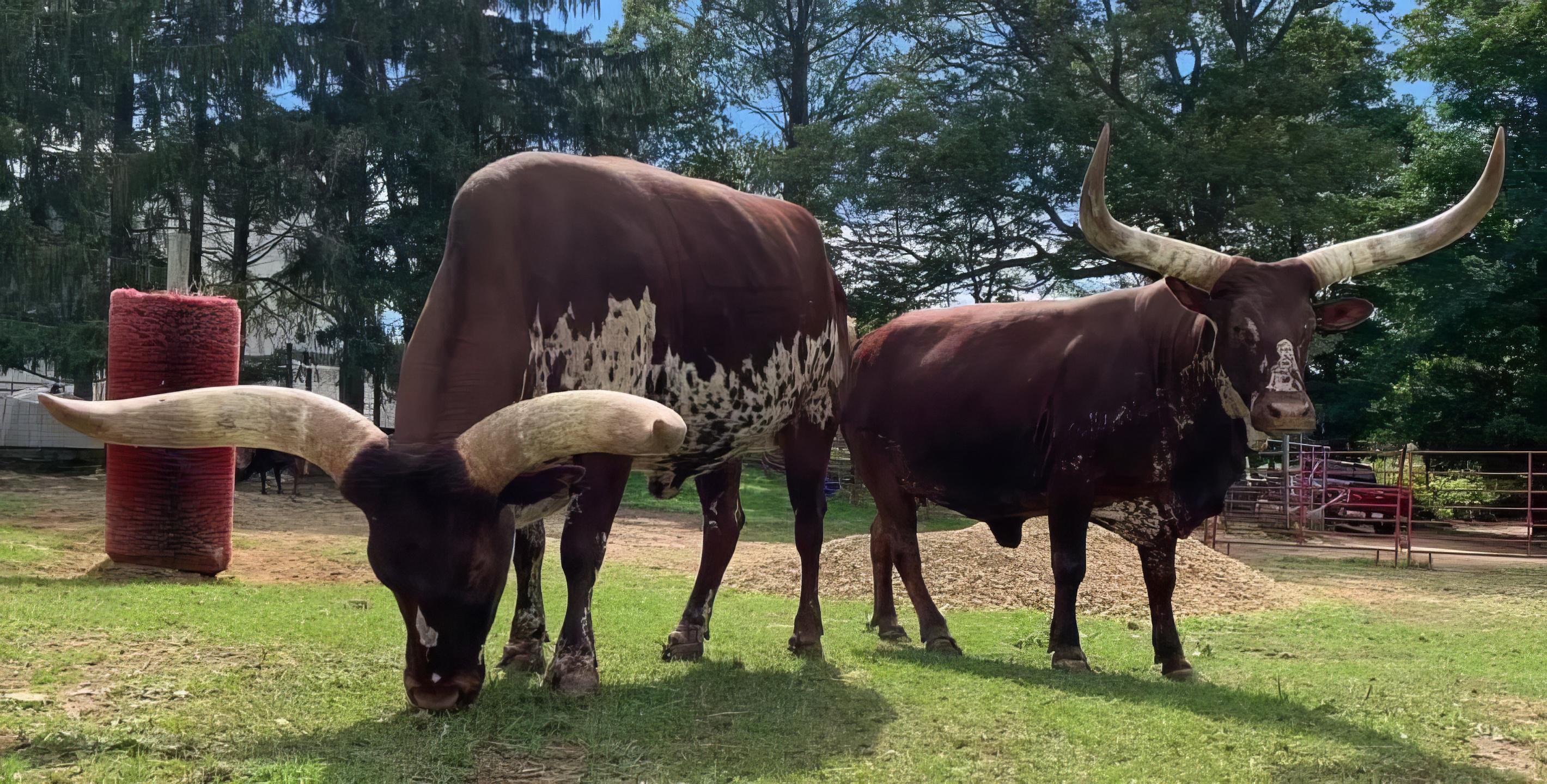Kids will have a blast at the drive through Safari Country - 10 minutes away!