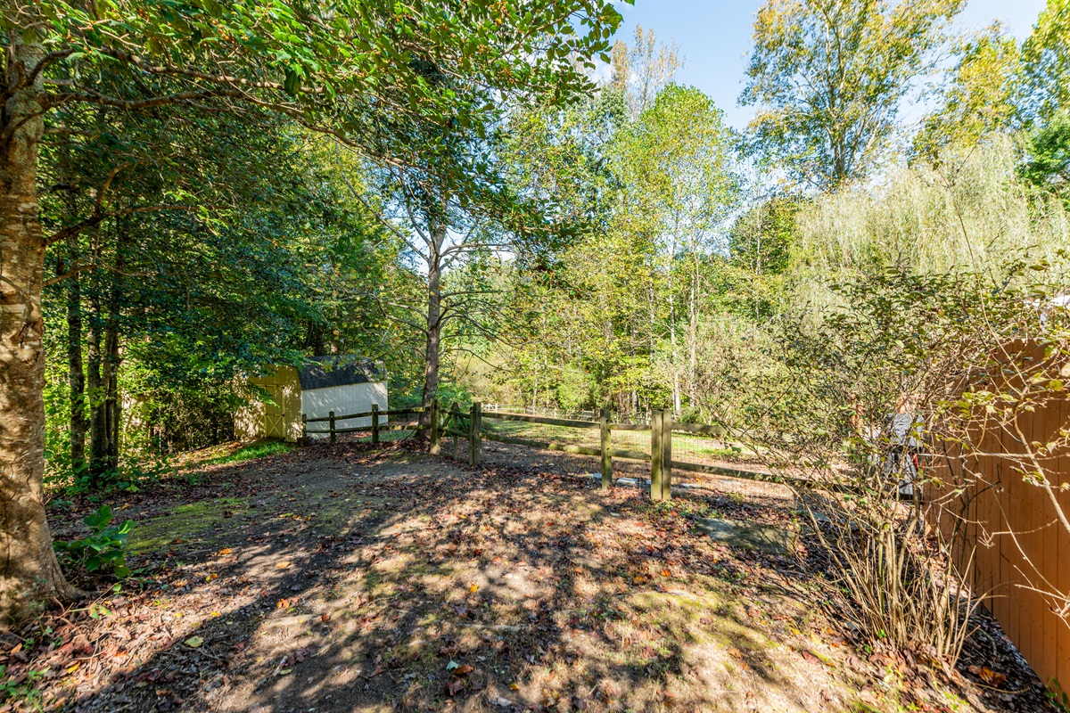 Outdoor: Discover nature in your private retreat surrounded by lush greenery and serene vibes!