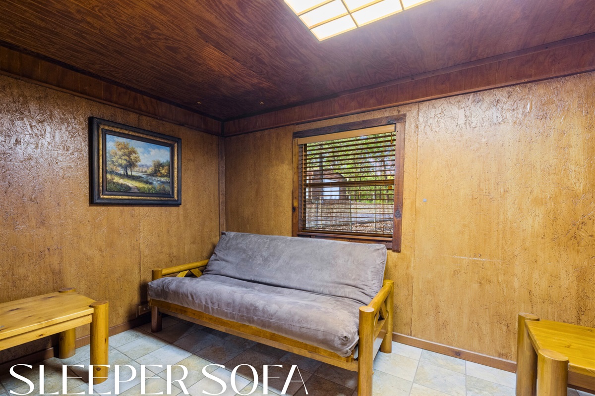 Sleeper sofa for extra guests or lazy lounging.