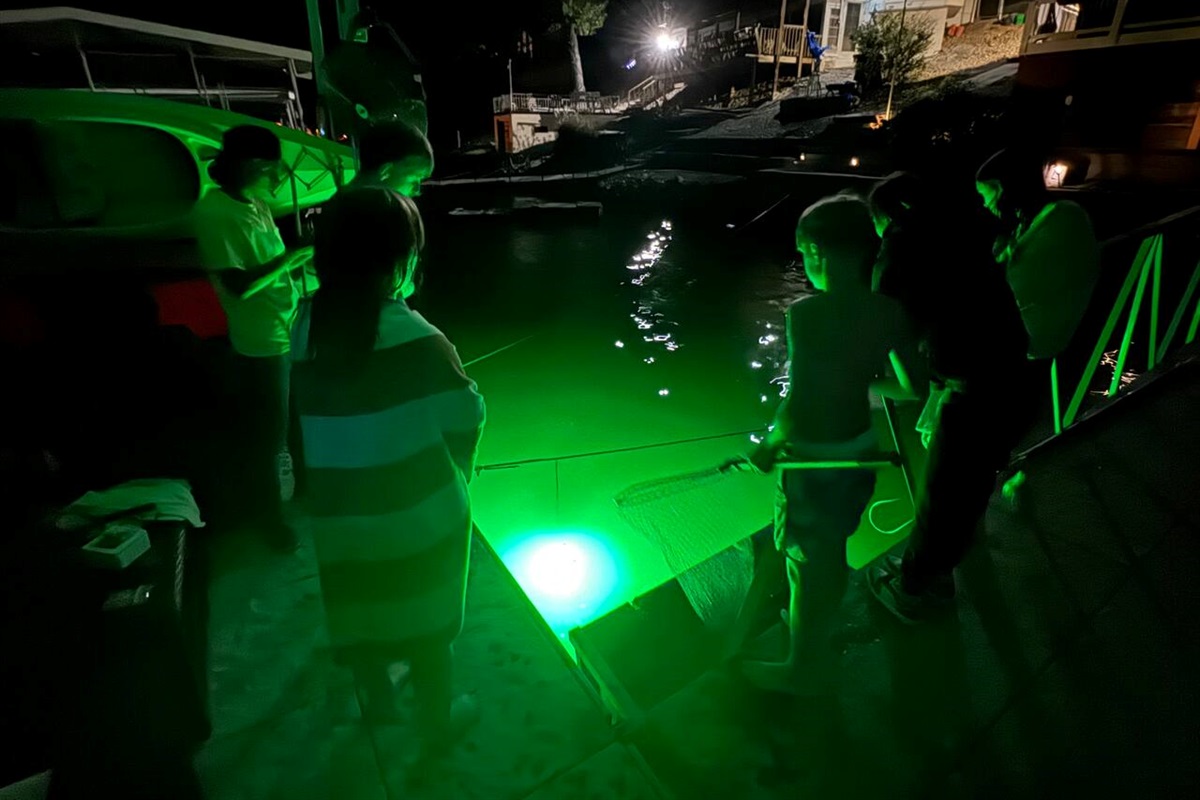 Bring your fishing poles and enjoy night fishing.