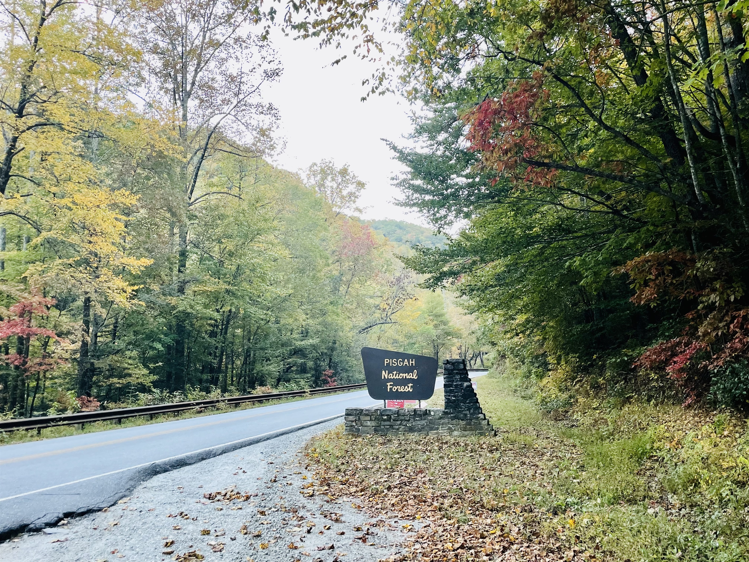 Pisgah National Forest