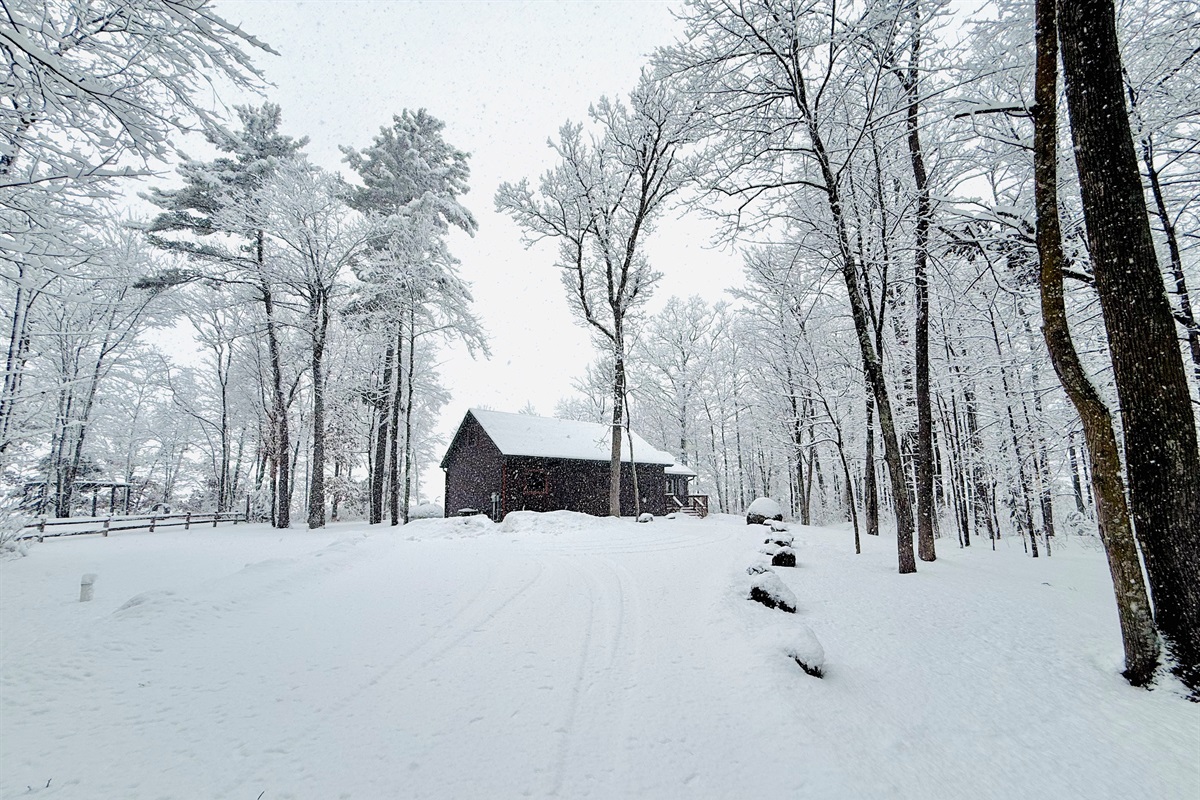 Welcome to Cattail Cabin!