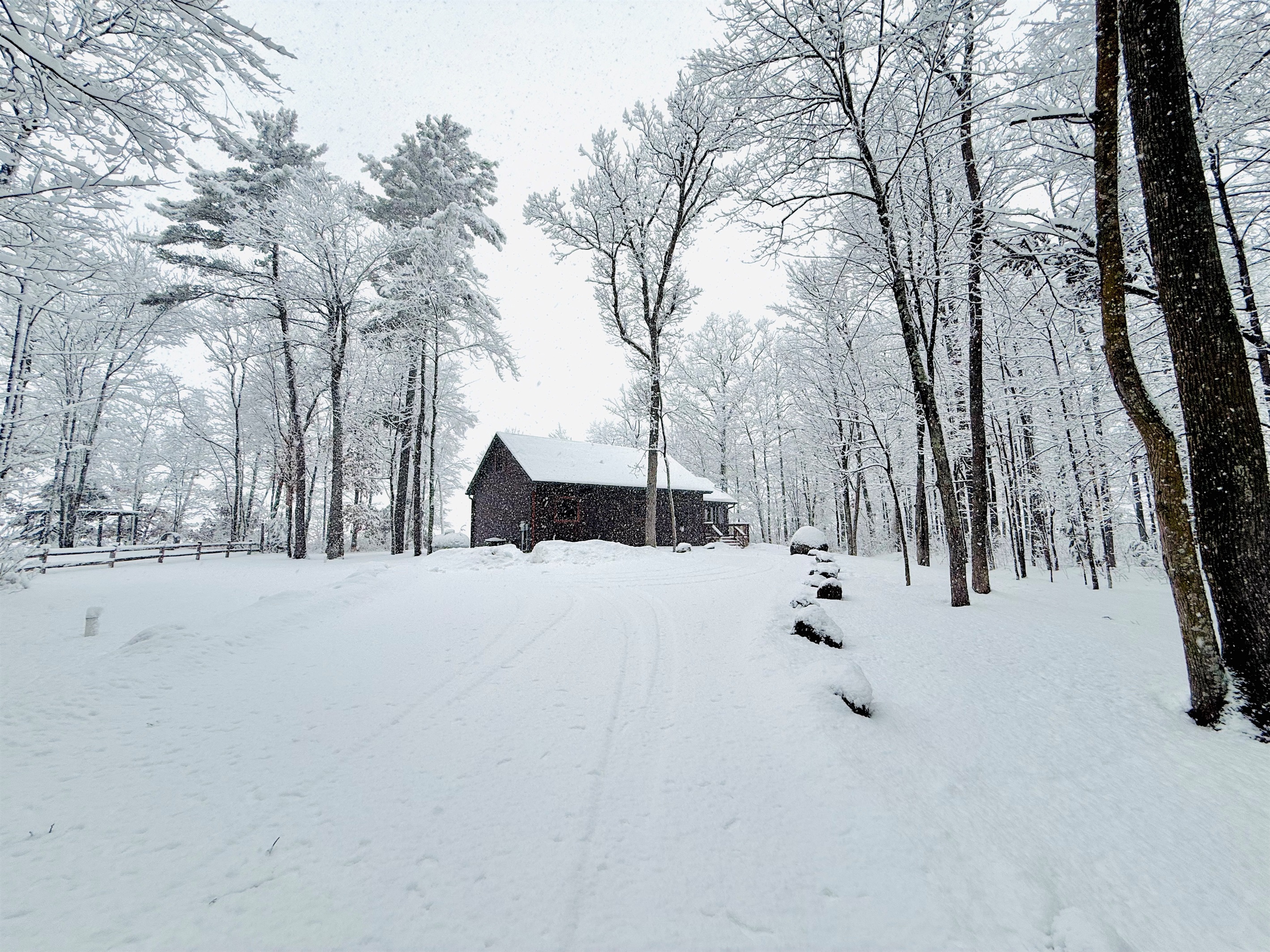 Welcome to Cattail Cabin!