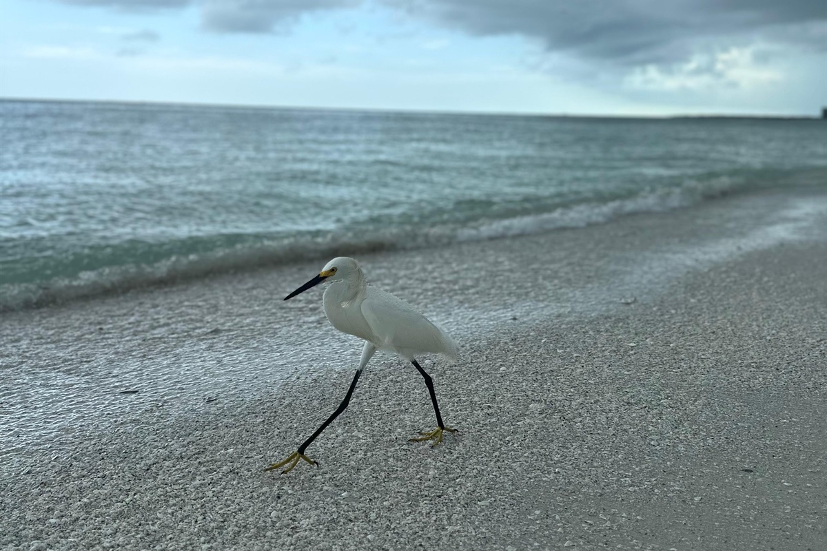 Kelly W., Jun 17, 2025