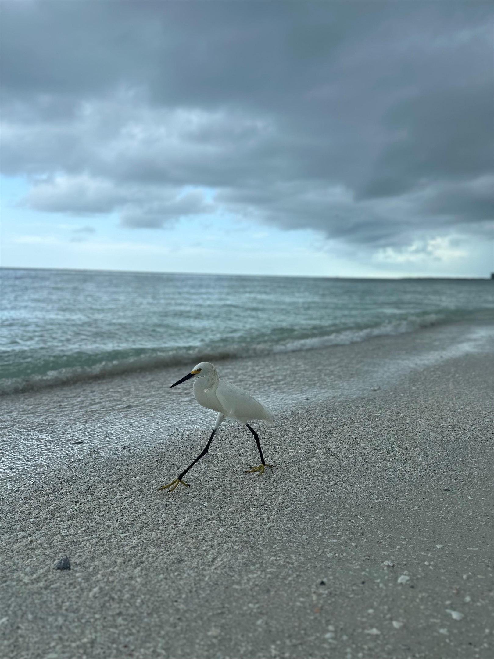 Kelly W., Jun 17, 2025