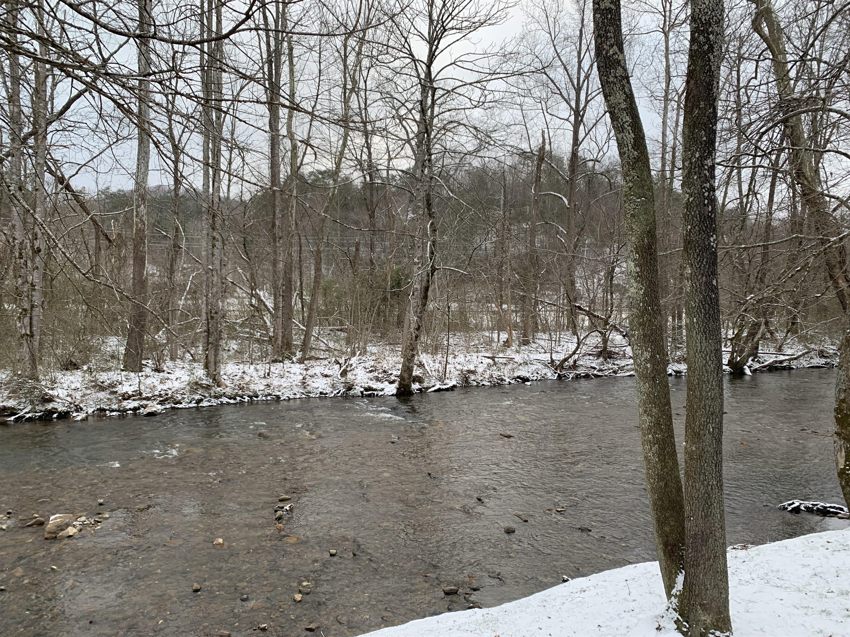 Snowy creek view