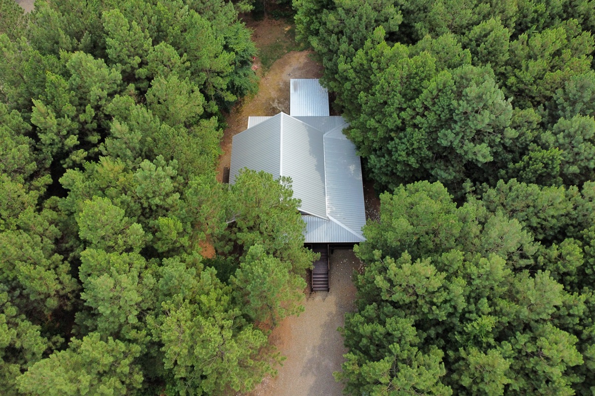 Surrounded by 40 ft pines