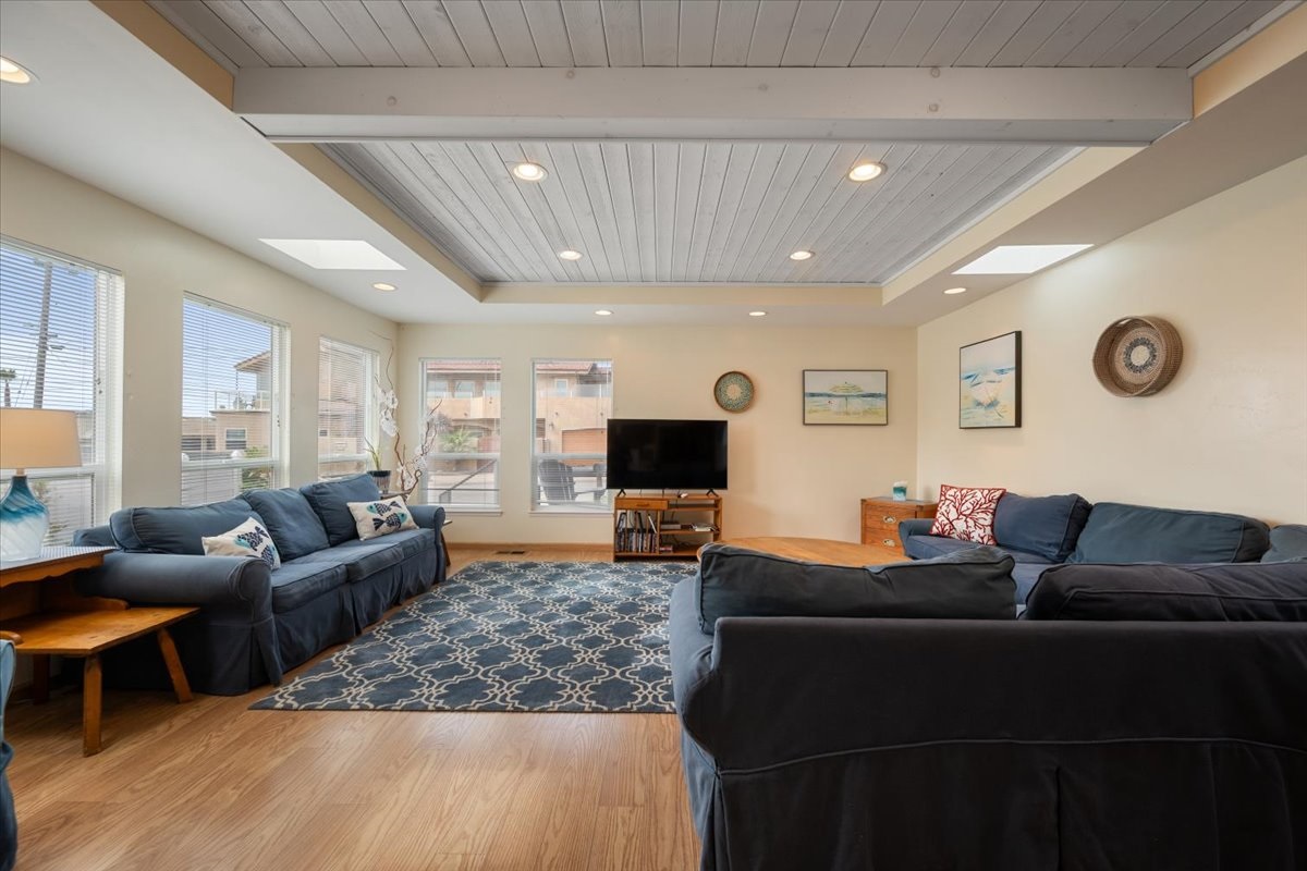 Living Room - pull out couch