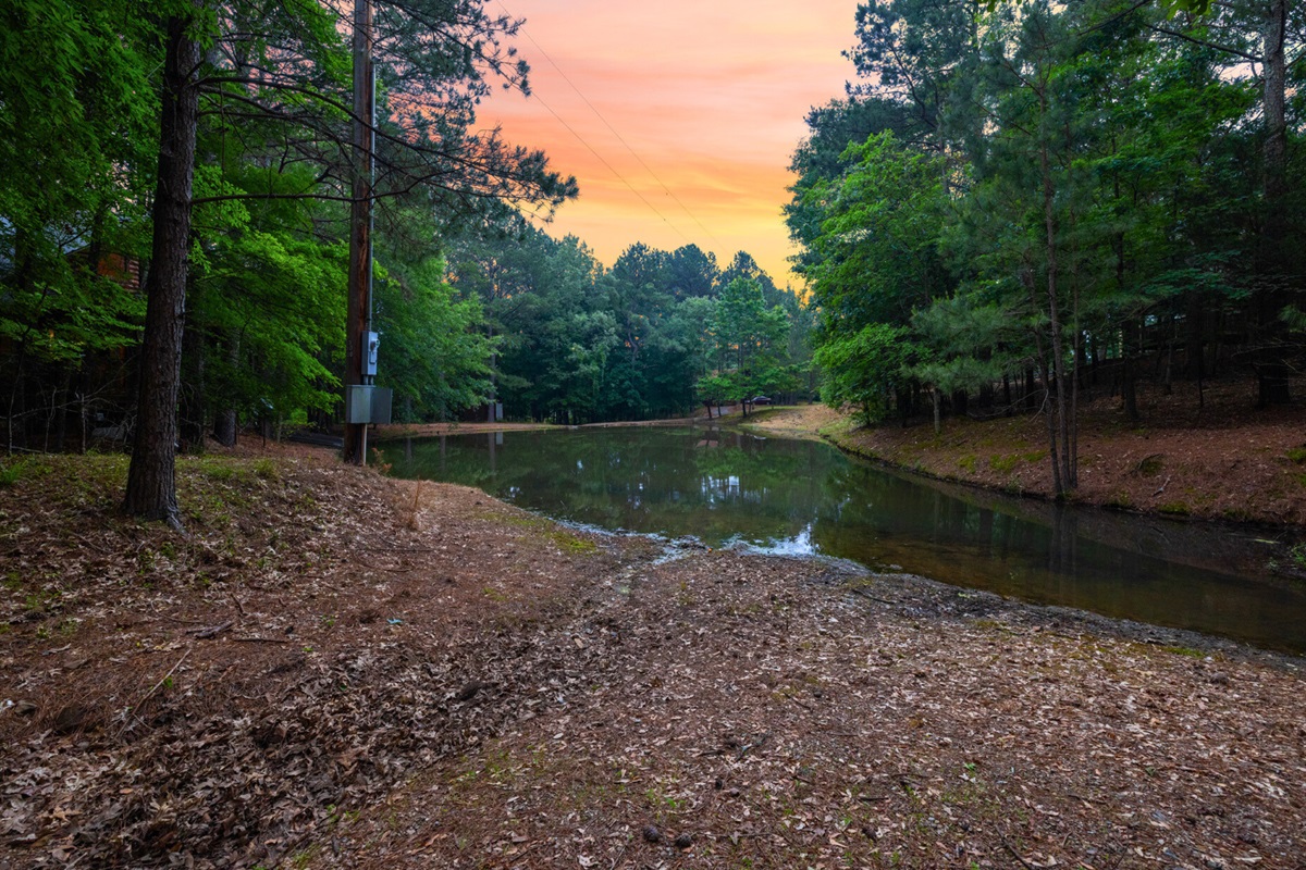 Fish, float, or simply enjoy the water’s edge—your cabin comes with its own pond escape.