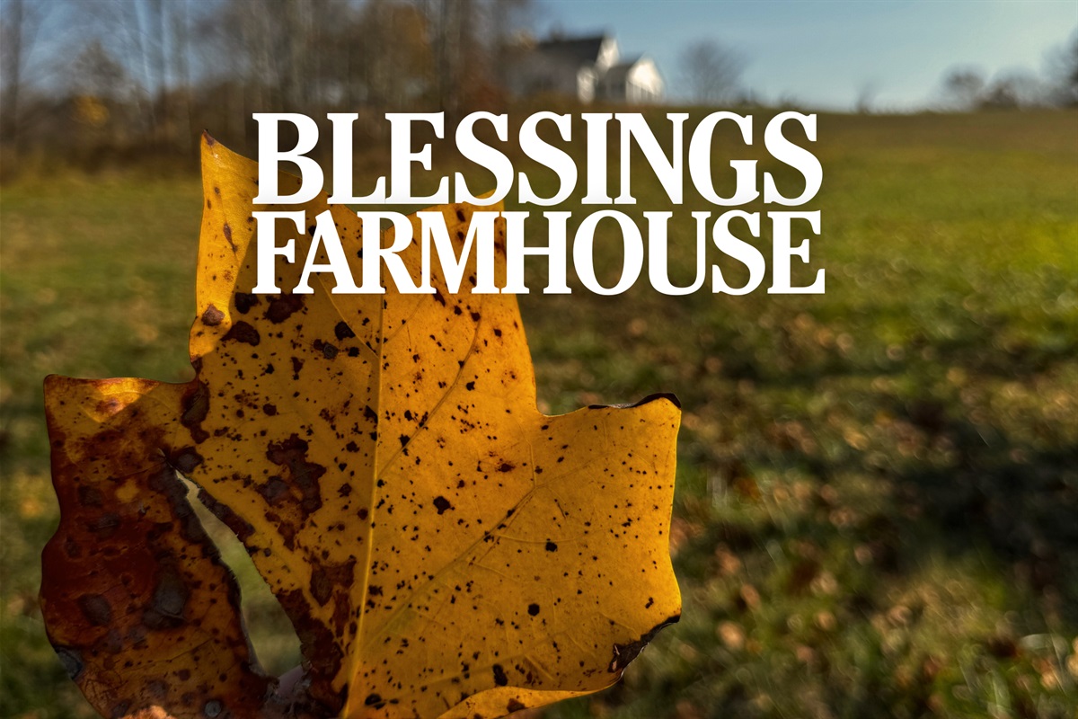 Escape to Blessings Farmhouse... a family-focused home for relaxation, connection and fun!