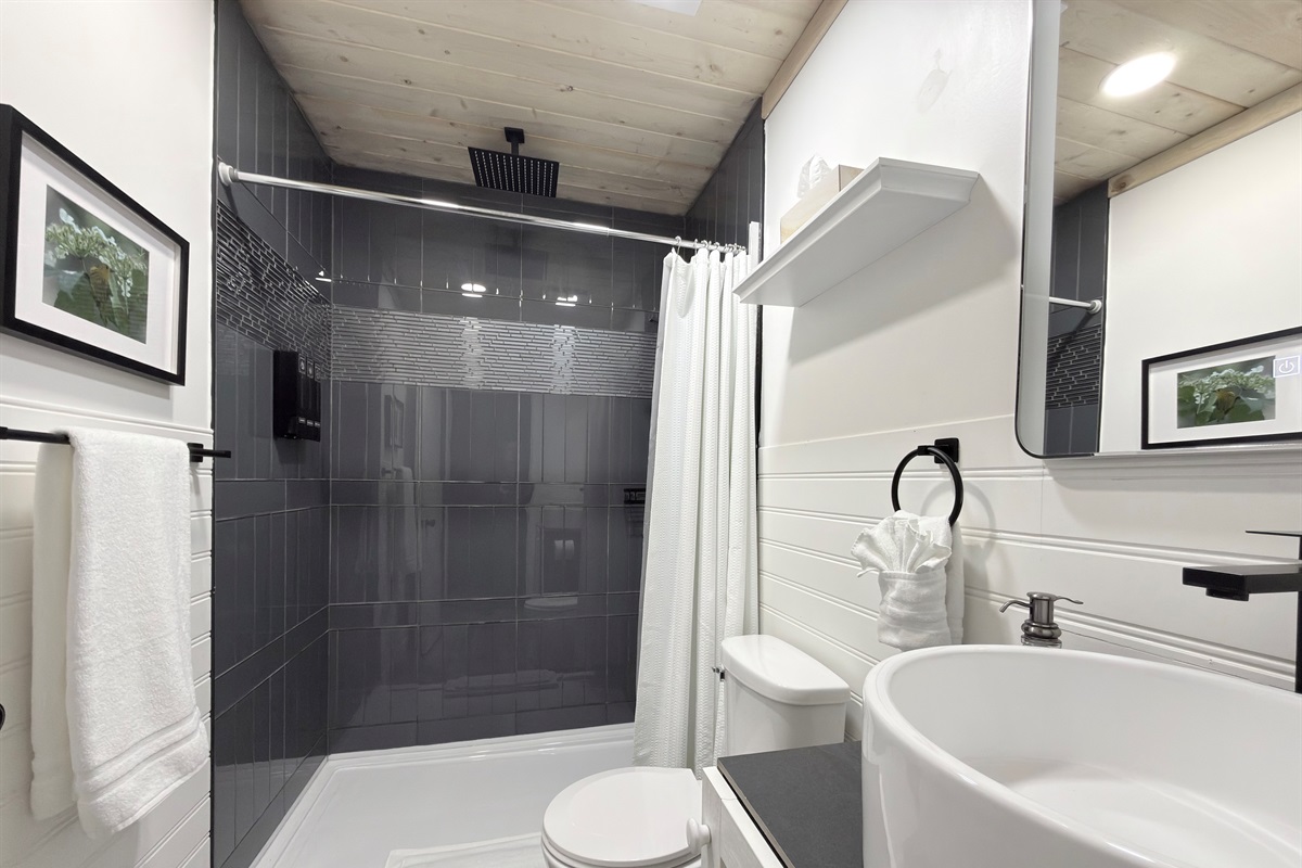 Bathroom with large walk-in shower