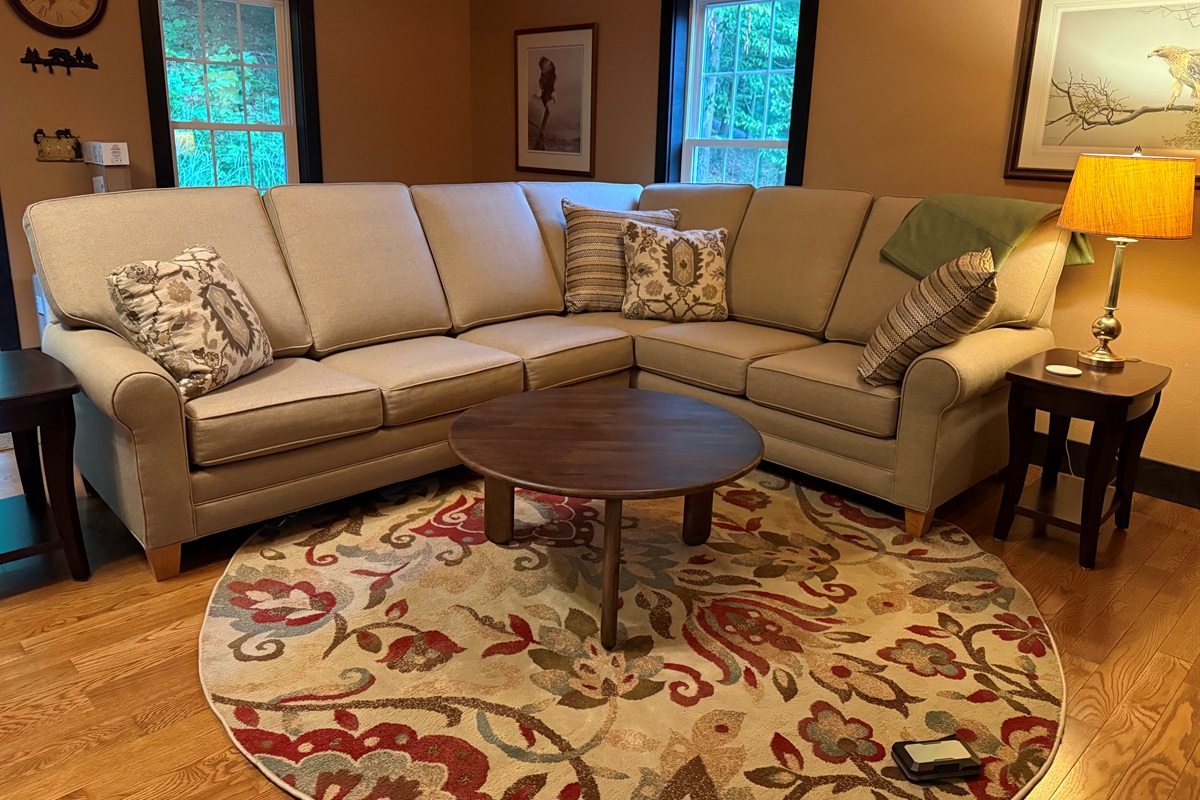 Sleeper Sofa in Bonus Room