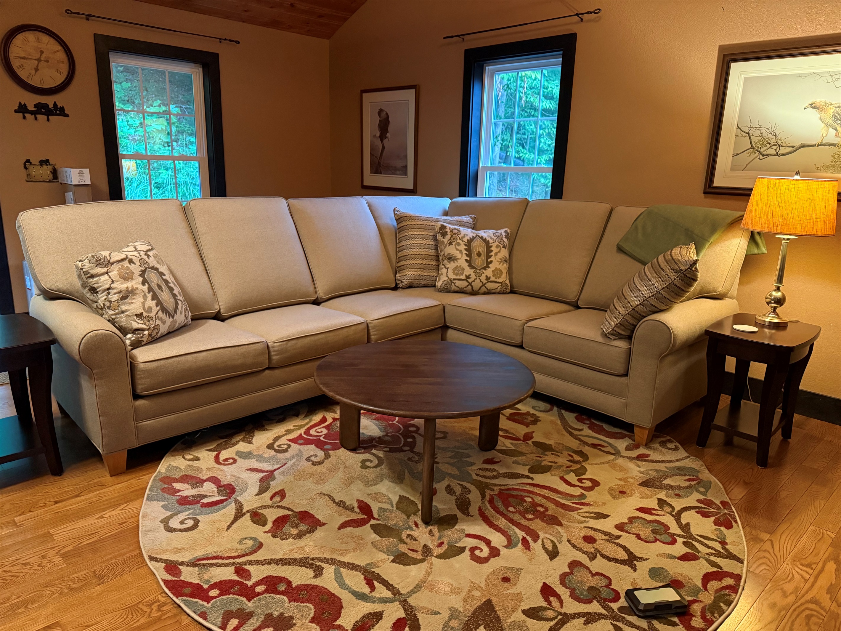 Sleeper Sofa in Bonus Room