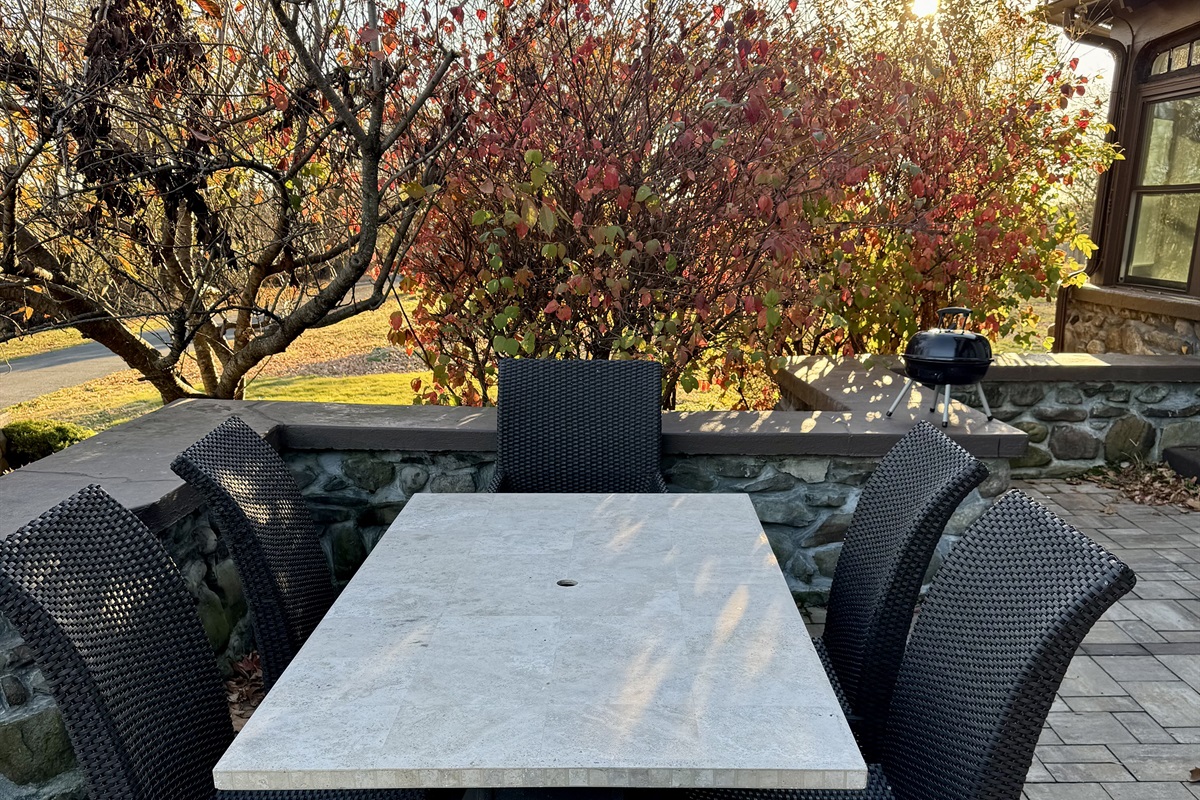 Patio Table
