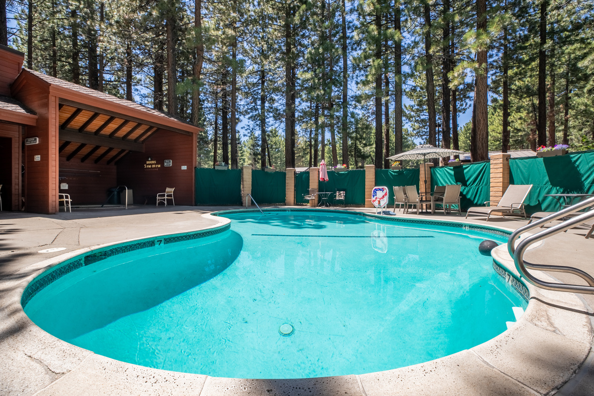 Heated pool surrounded by towering pines