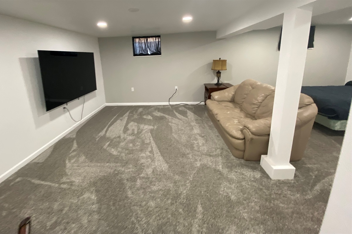 Basement TV Space
