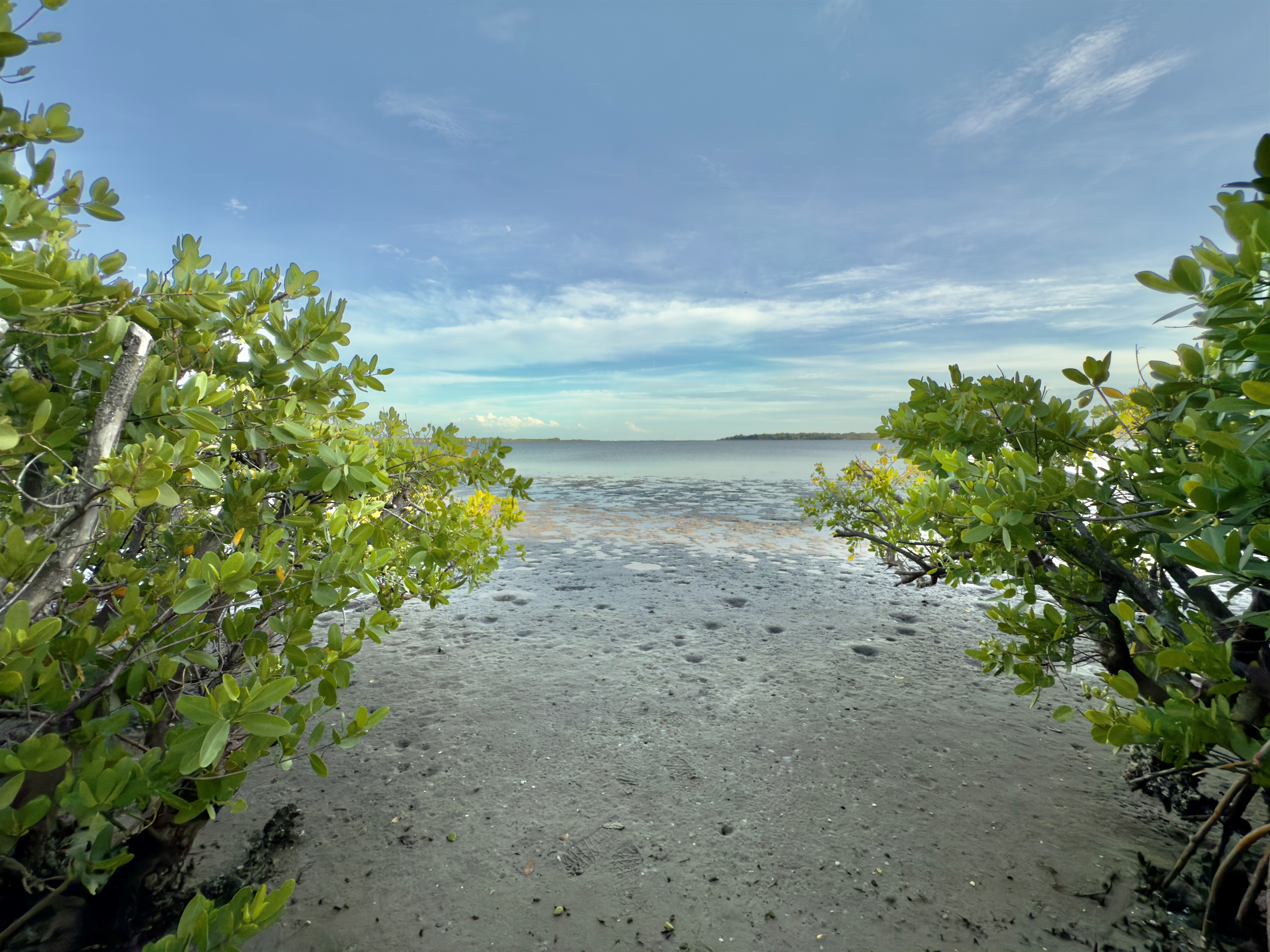 Beautiful natural shoreline with calm, shallow waters.