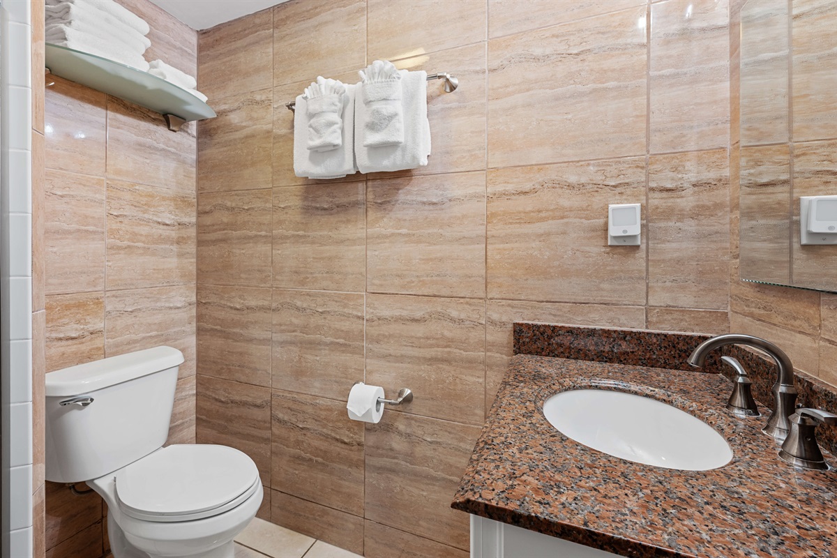 Upstairs bathroom with shower, toilet and vanity