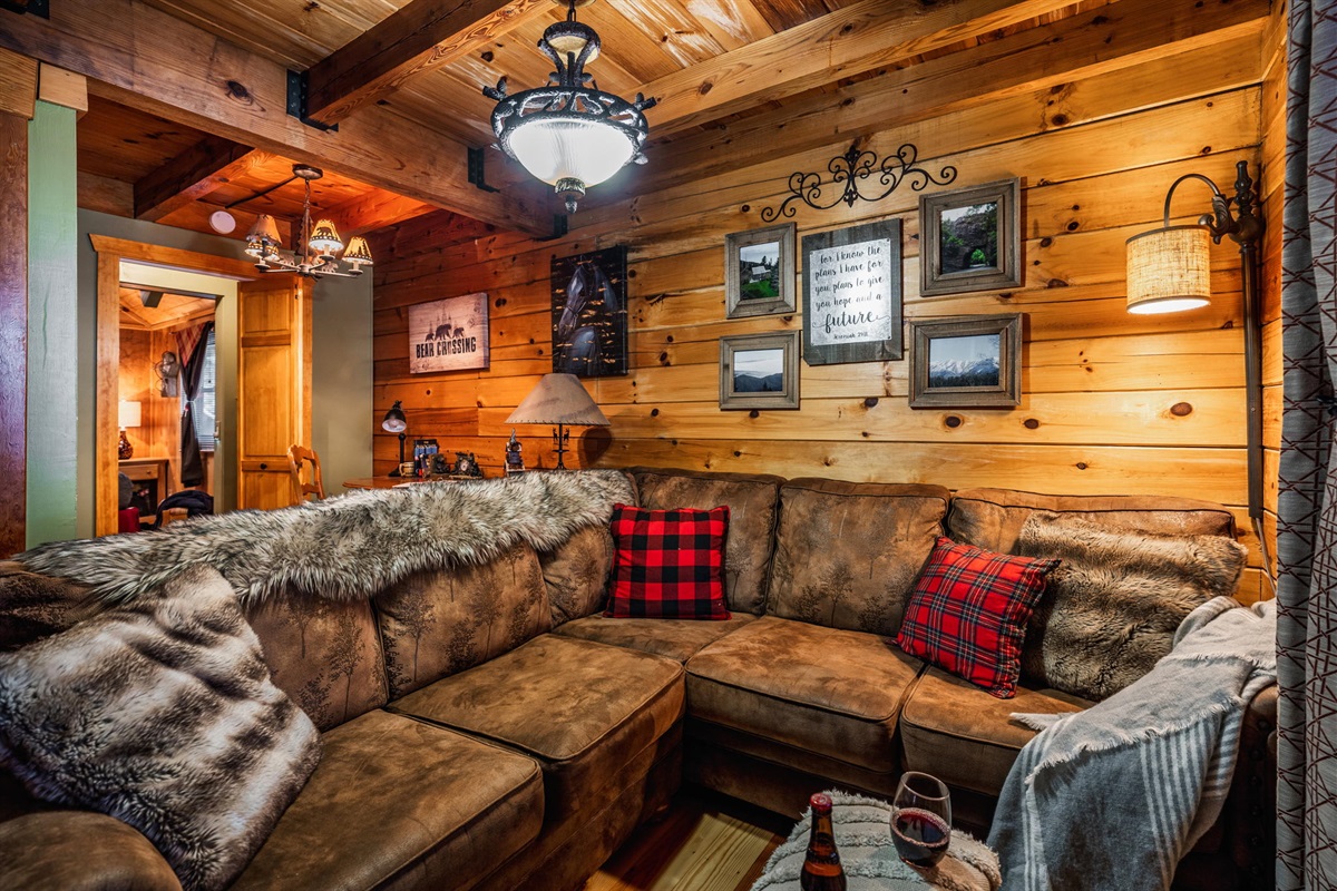 Hangout on the soft and plushy sofa binging on shows with Roku