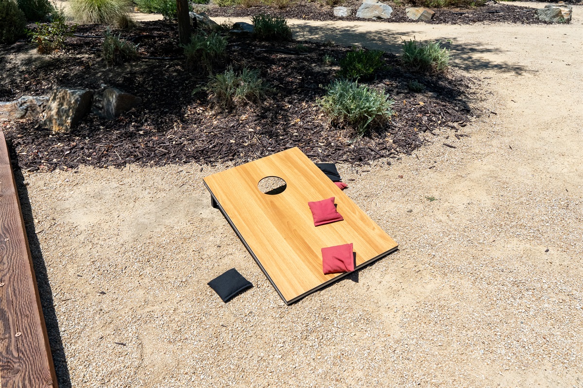Corn hole