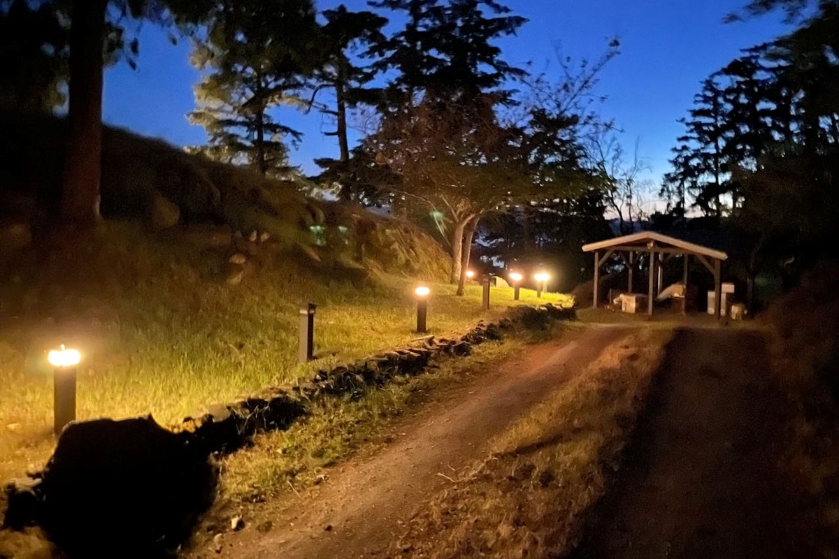 Path To Entrance Lit At Night