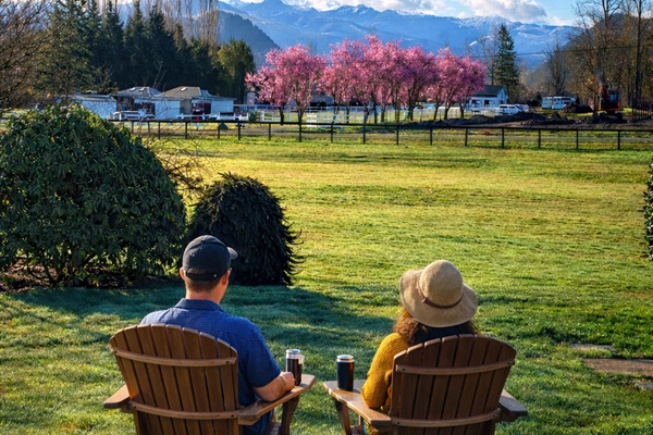 Mount Rainier view from the patio