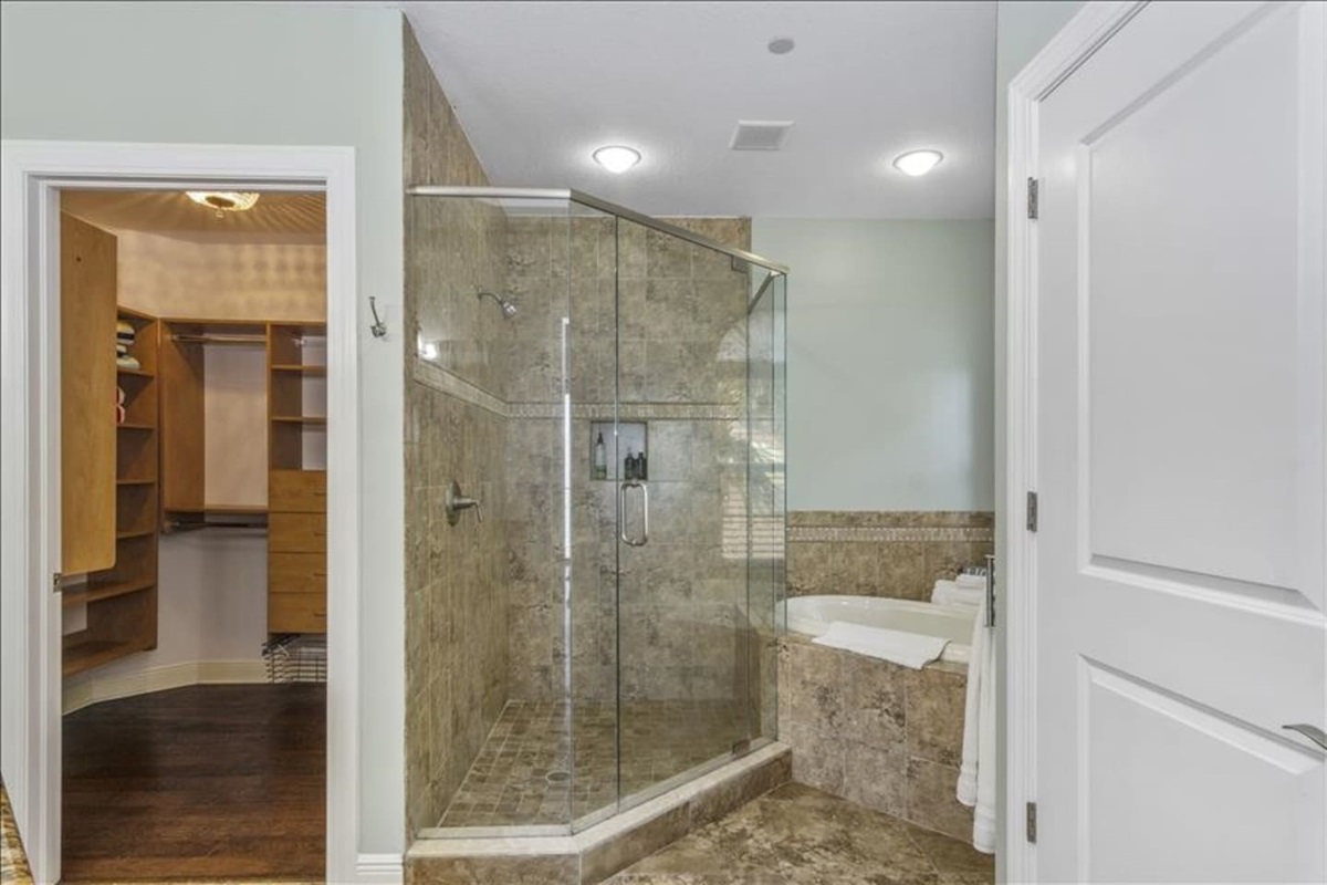 Master bath area - walk in shower and closet and bathtub