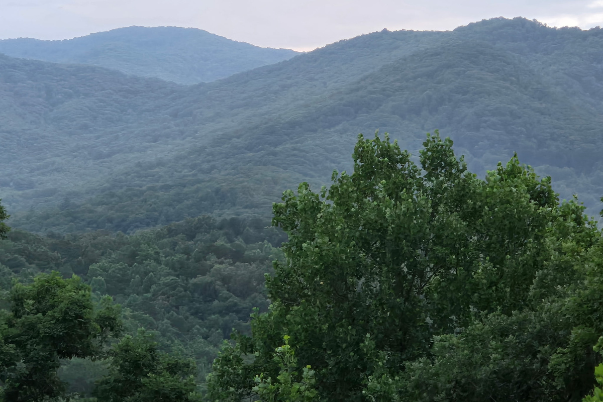 Stunning close up mountain view taken by one of our amazing guests