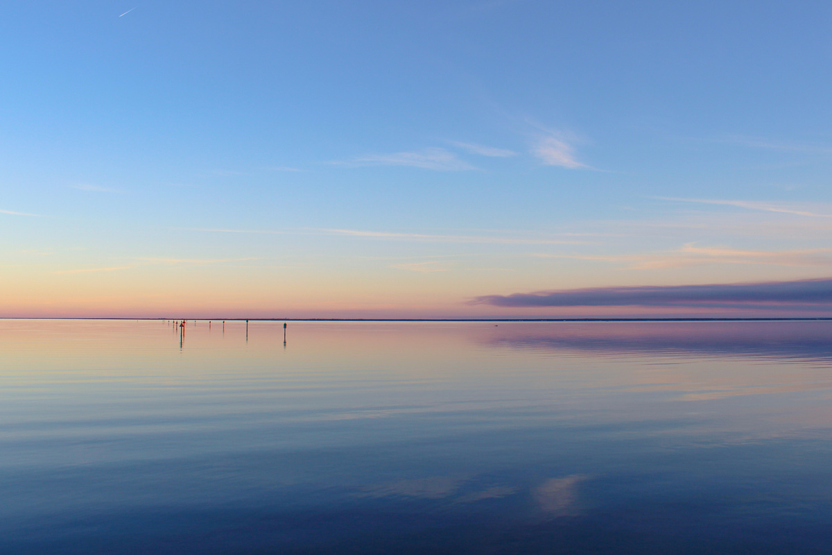 Serene Views