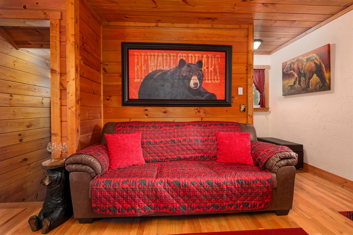 Living Room Pull Out Sofa