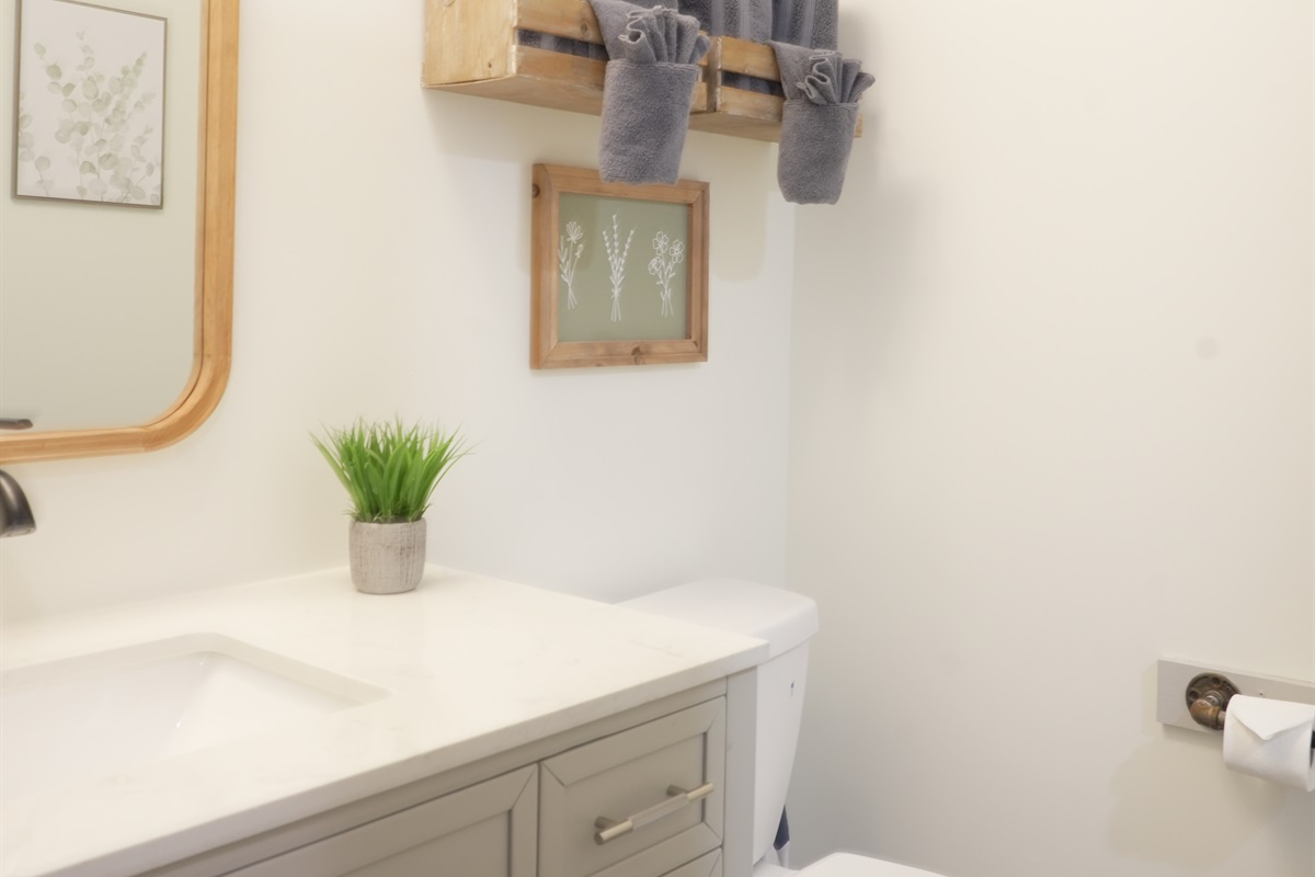 1st floor bathroom shower