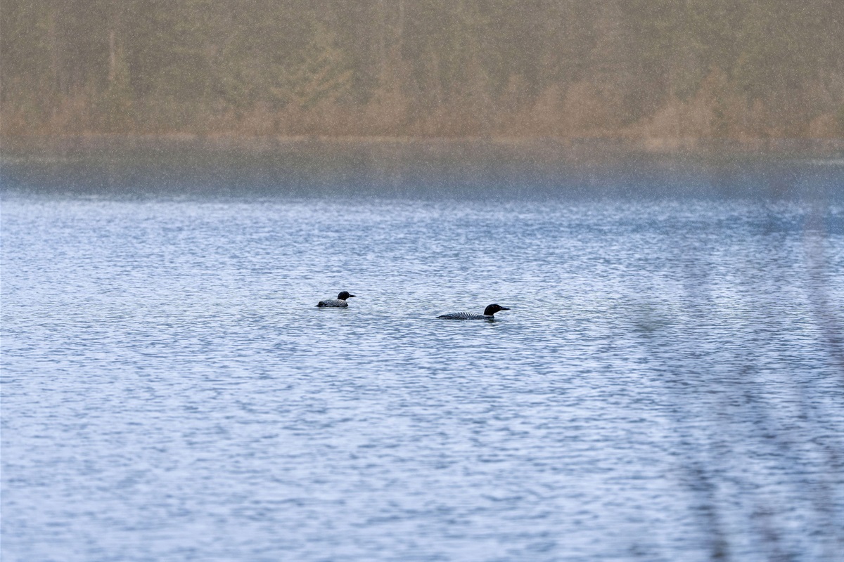 Spoon Lake