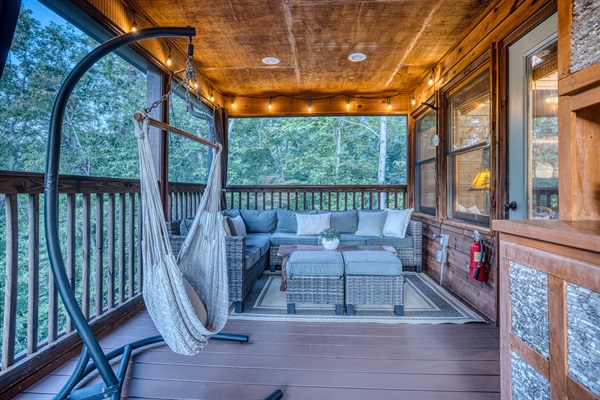 Screened in porch with hammock chair