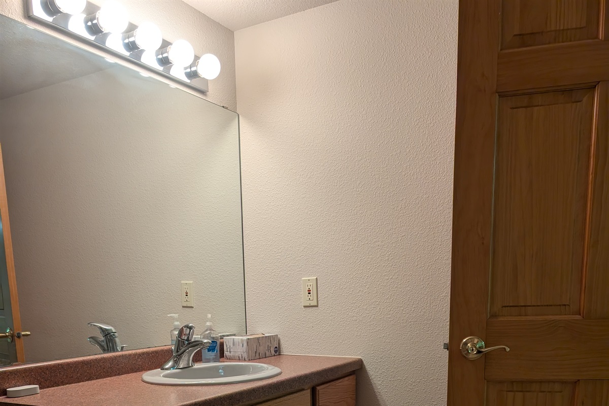 Lower Level Bathroom