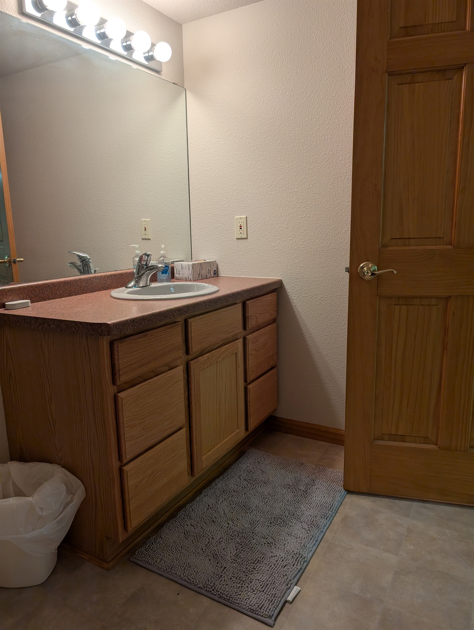 Lower Level Bathroom