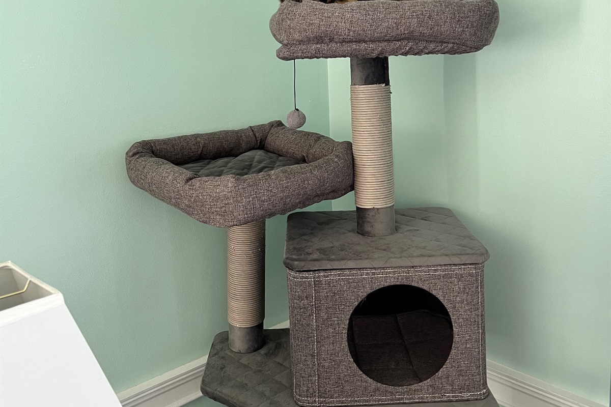 Cat Tree