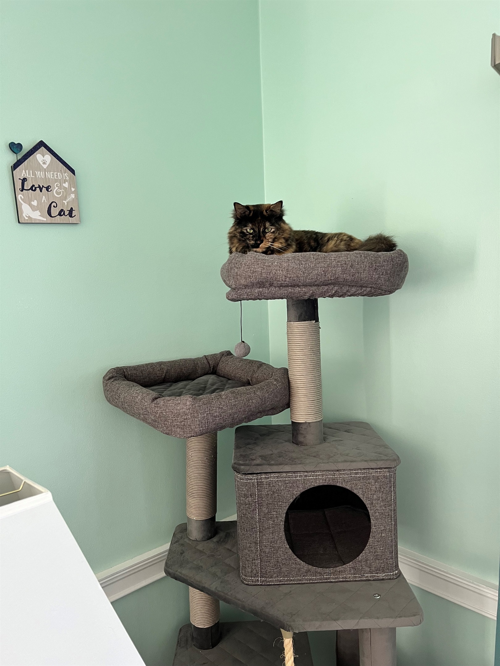 Cat Tree