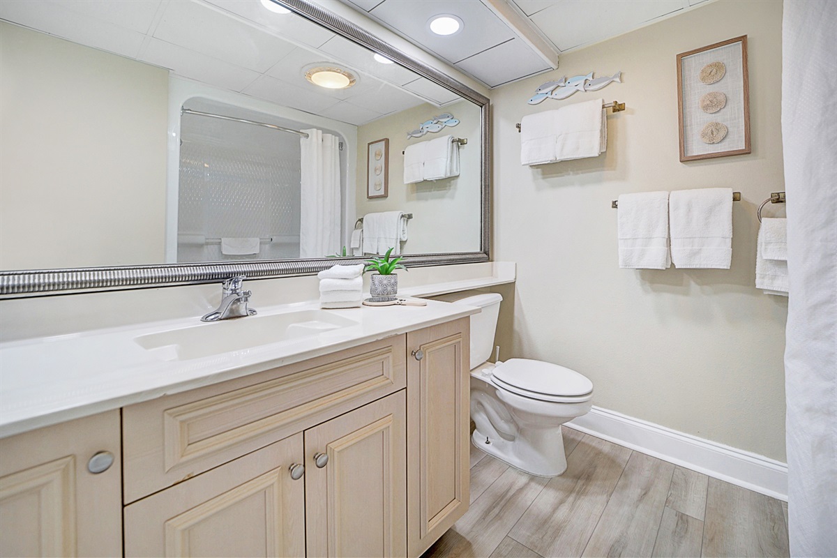 Main Bathroom